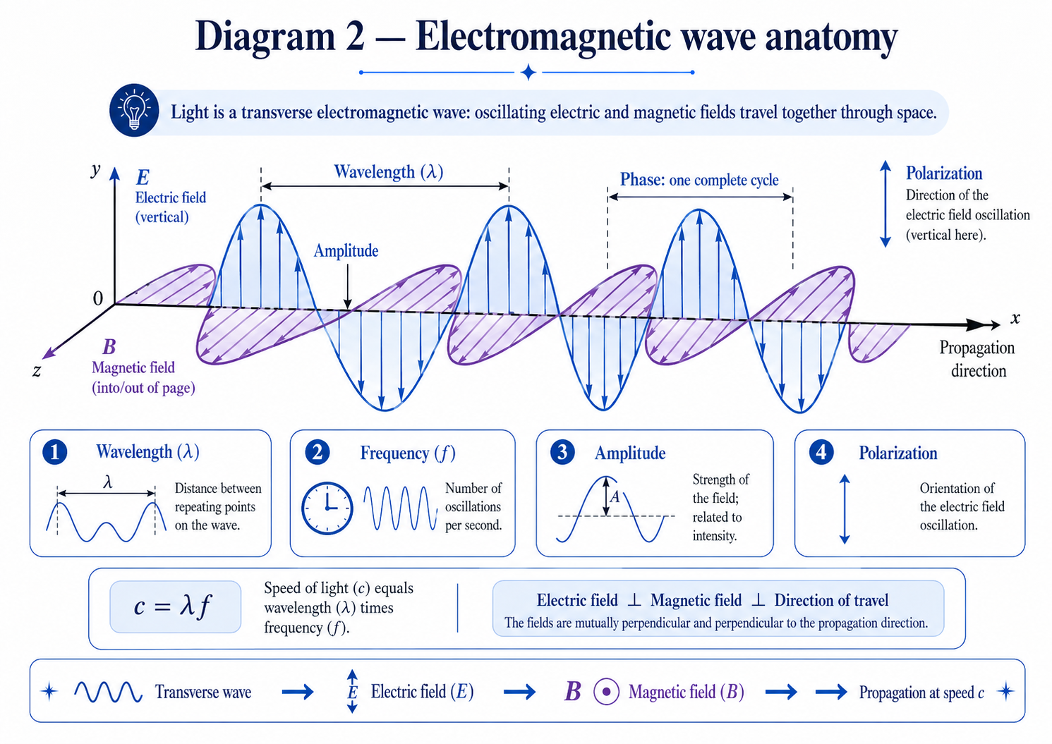 Electromagnetic wave anatomy showing perpendicular electric and magnetic fields