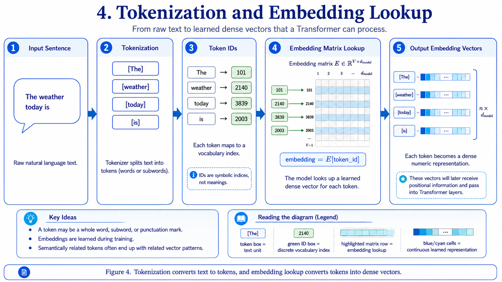 Tokenization and embedding lookup diagram showing raw text, tokens, token IDs, embedding matrix lookup, and output embedding vectors