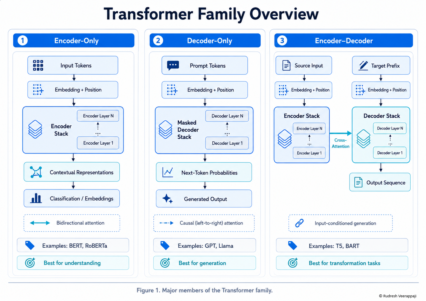 Transformer family overview showing encoder-only, decoder-only, and encoder-decoder architectures