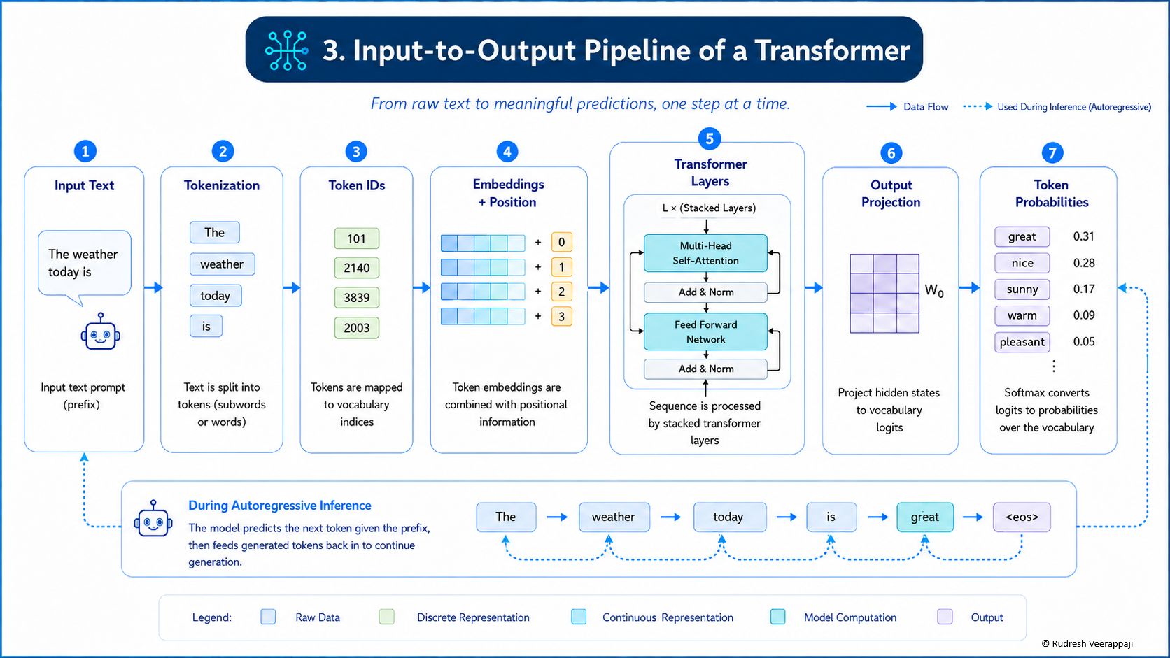 Full input-to-output Transformer pipeline from text and tokenization through transformer blocks to output probabilities